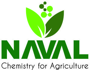 navalagribiotechindia.com