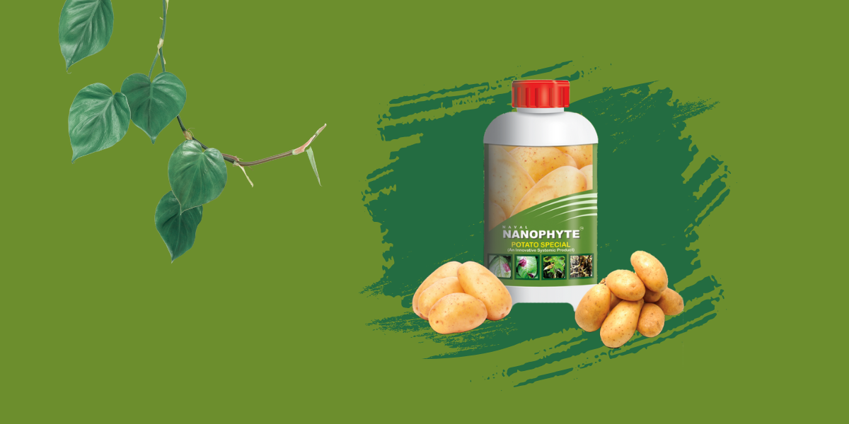 Naval Nanophyte Potato