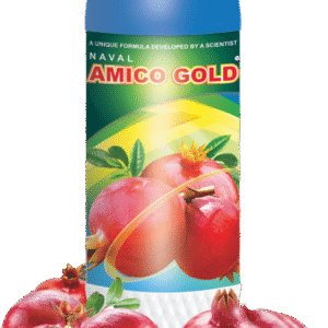 Naval Amico Gold