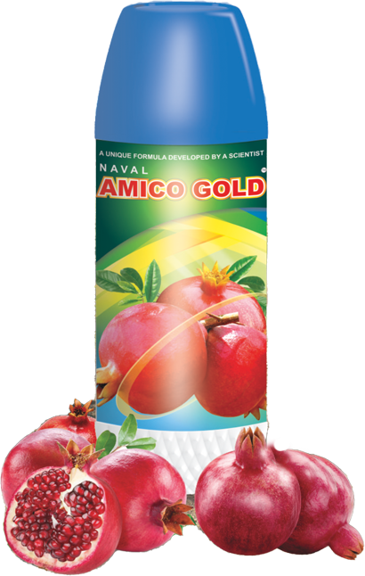 Naval Amico Gold