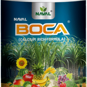 Naval BoCa