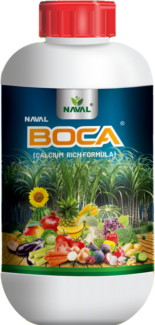 Naval BoCa