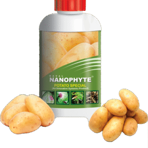 Naval Nanophyte Potato