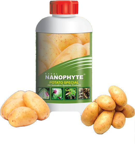 Naval Nanophyte Potato