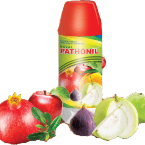 Naval Pathonil
