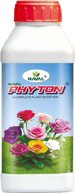 Naval Phyton