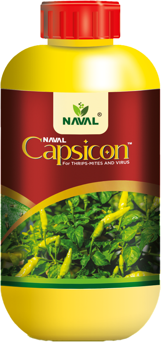 Naval Capsicon