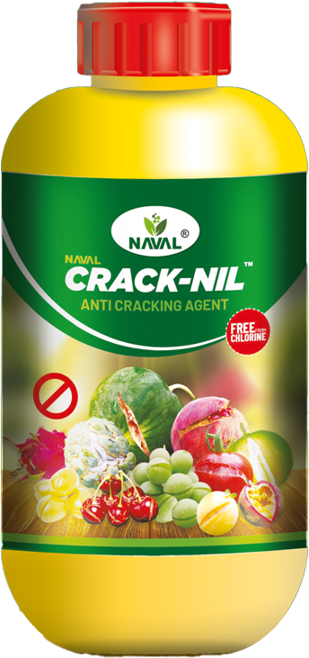 Naval Crack-Nil